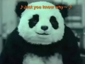 Just you know why panda没拿的害死他