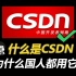 什么！都2022年了还不知道CSDN是什么？CSDN真的很不错！