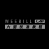 智云WEEBILL LAB教程第五集：稳定器的六面校准设置
