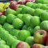 【空镜头】食物苹果水果青苹果红苹果 素材分享
