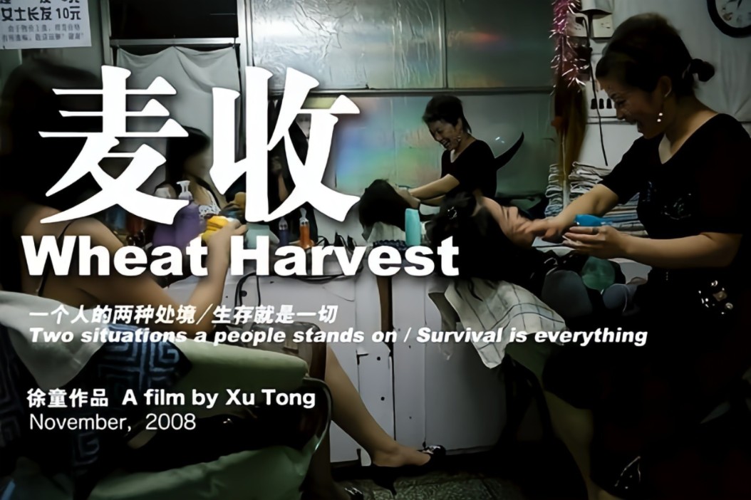 《麦收2》是徐童执导的纪录电影，于2008年在北京独立电影论坛上映，该片记录了一位农村女孩在麦收前后，辗转于北京与乡下的两种生存状态