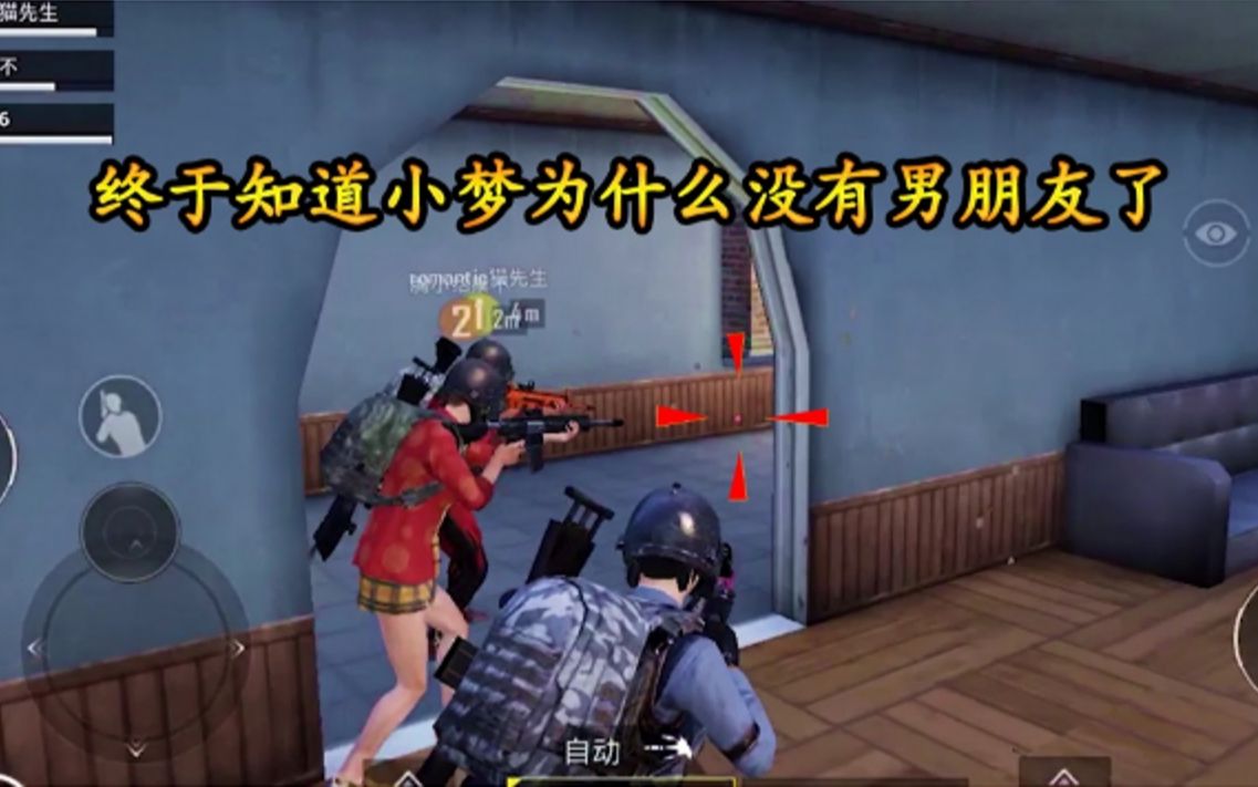 小梦游戏解说v