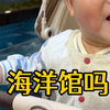 可怜的娃，每次都看的这么开心，真不忍心告诉他真相！#人类幼崽 #记录宝宝 #生个孩子就是为了玩的 #遛娃日常
