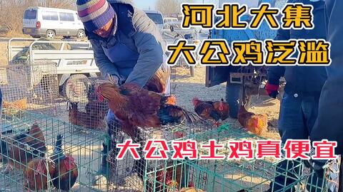 131704736c9278b20b6c9857240235703a37c9cc.jpg@480w_270h_1c