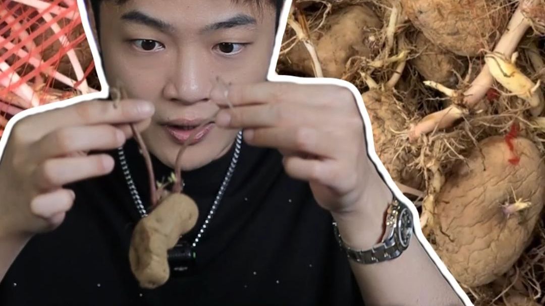 发芽土豆竟成南方美食？ 我承认这期我怂了！