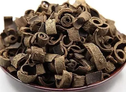 一分钟中药之厚朴