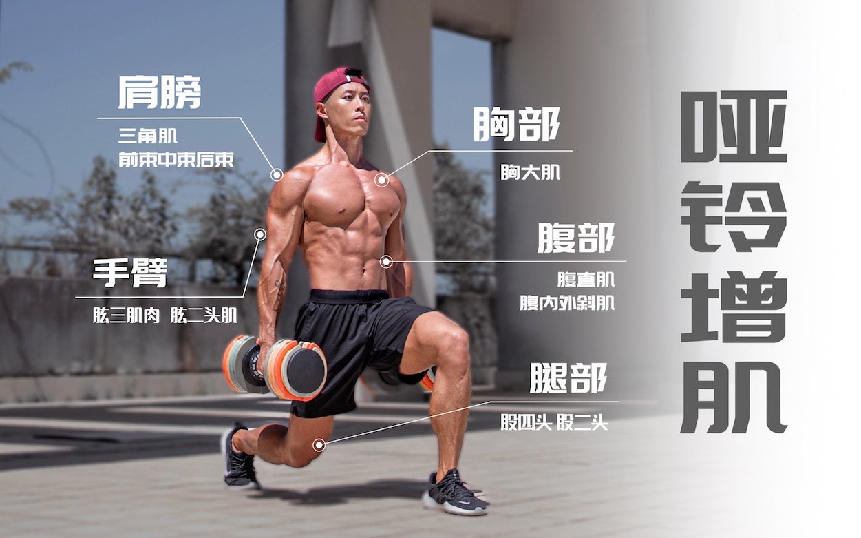 【告别瘦弱】30分钟哑铃全身增肌