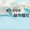 写作技巧，细节描写