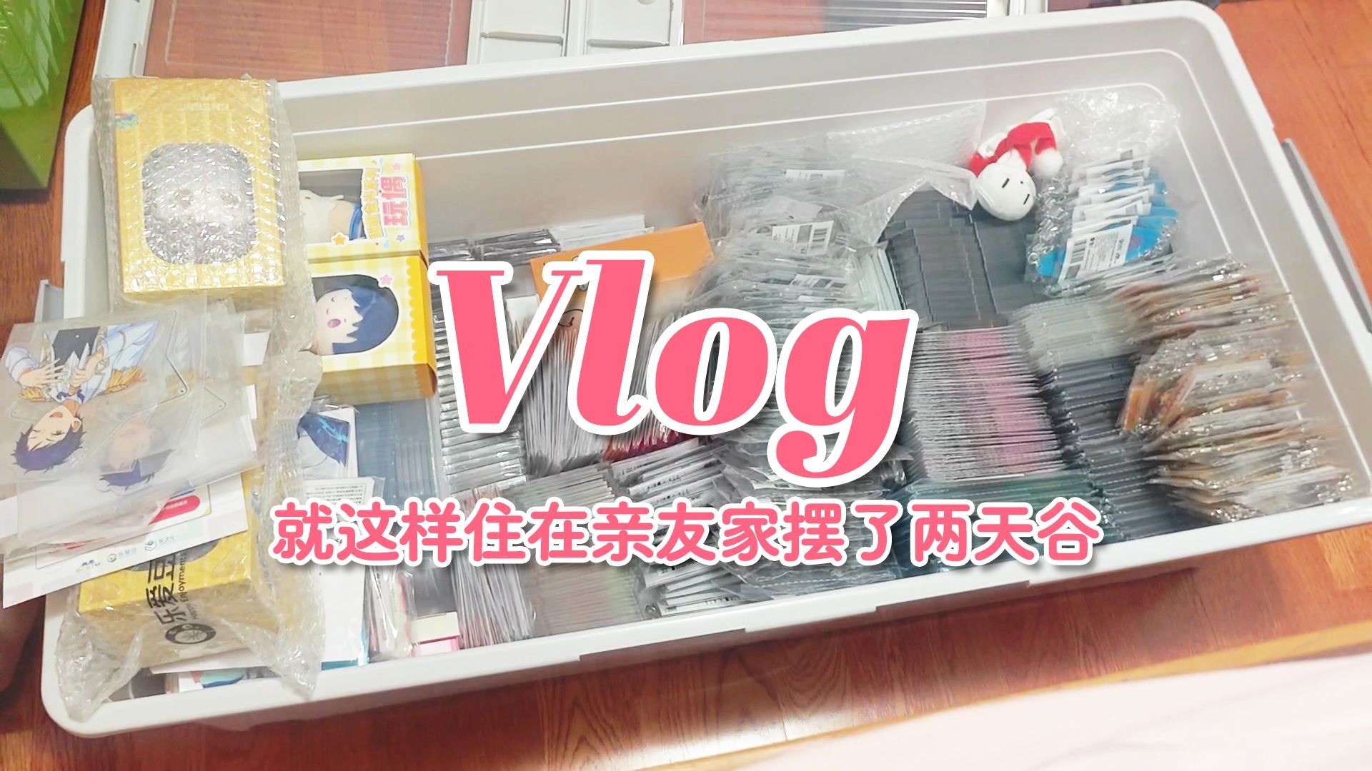 新 • 二次宅合租vlog #番外2︱一小时纯享版,快乐唠嗑准备生贺-今天的狐狸也在嚎呢-今天的狐狸也在嚎呢-哔哩哔哩视频