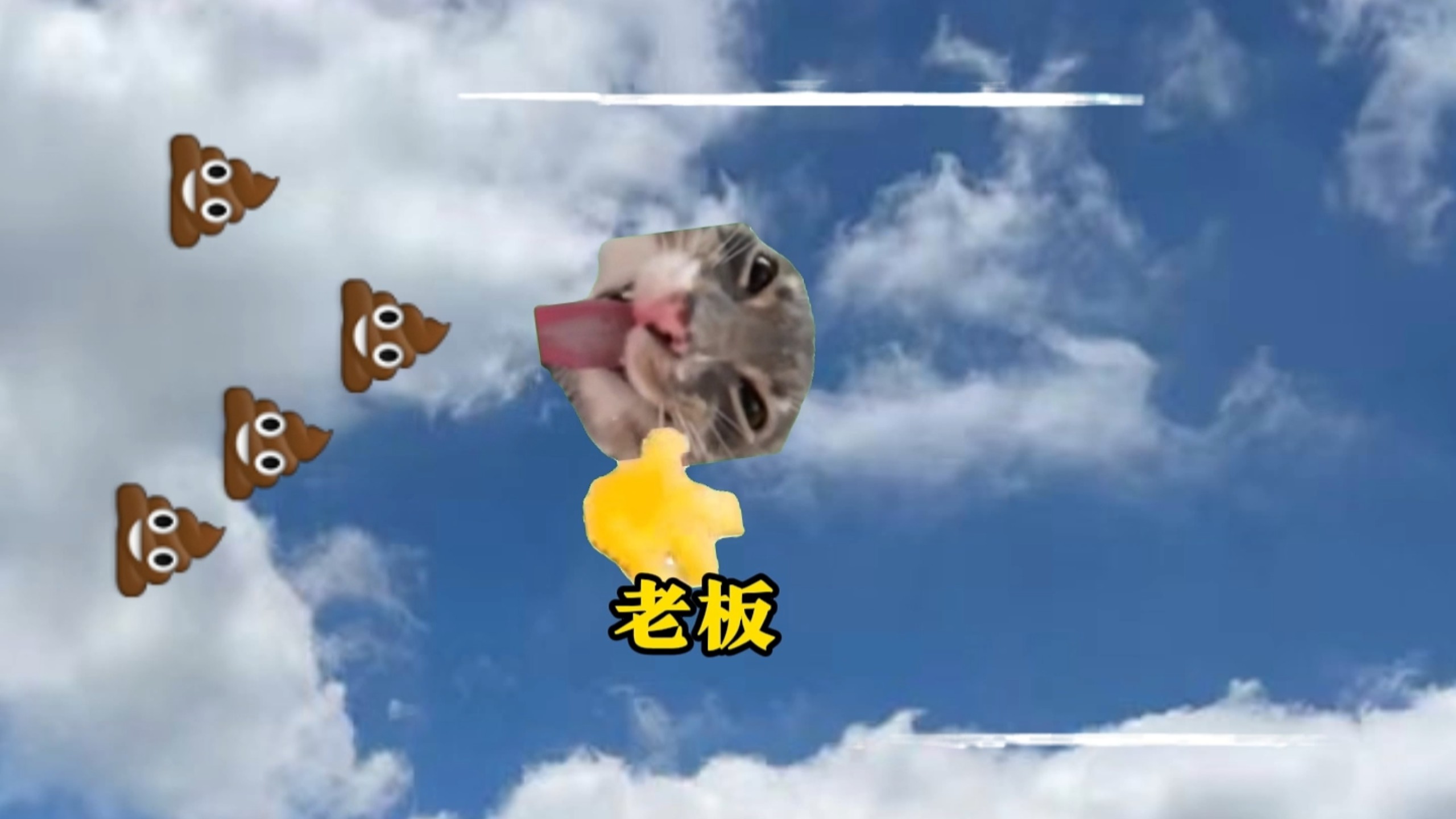 巴西公司招了新同事1-4