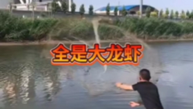 1374da9c40d41bf86214806106841821178fb746.png@280w_158h_1c_100q.jpg