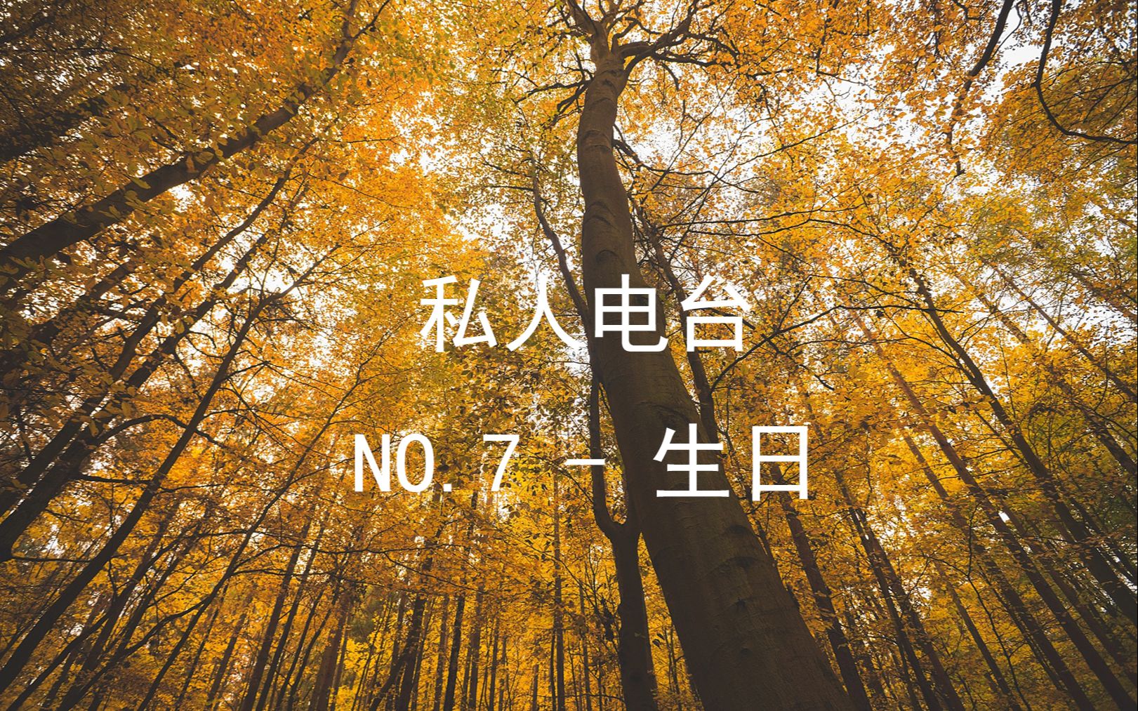 活动作品no7生日今天是你的生日嘛