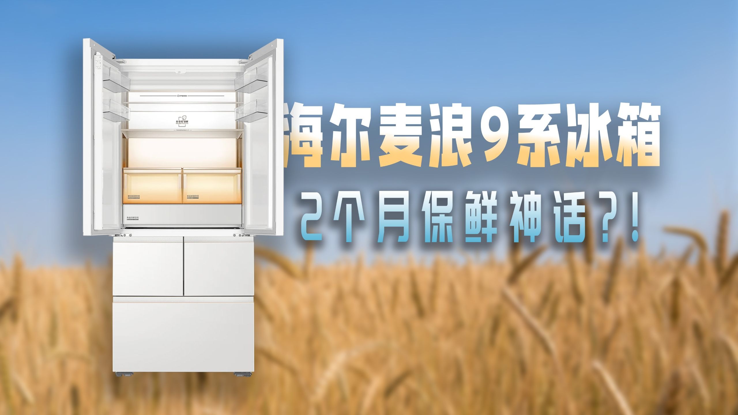能让时间“暂停”的冰箱｜海尔麦浪9系冰箱