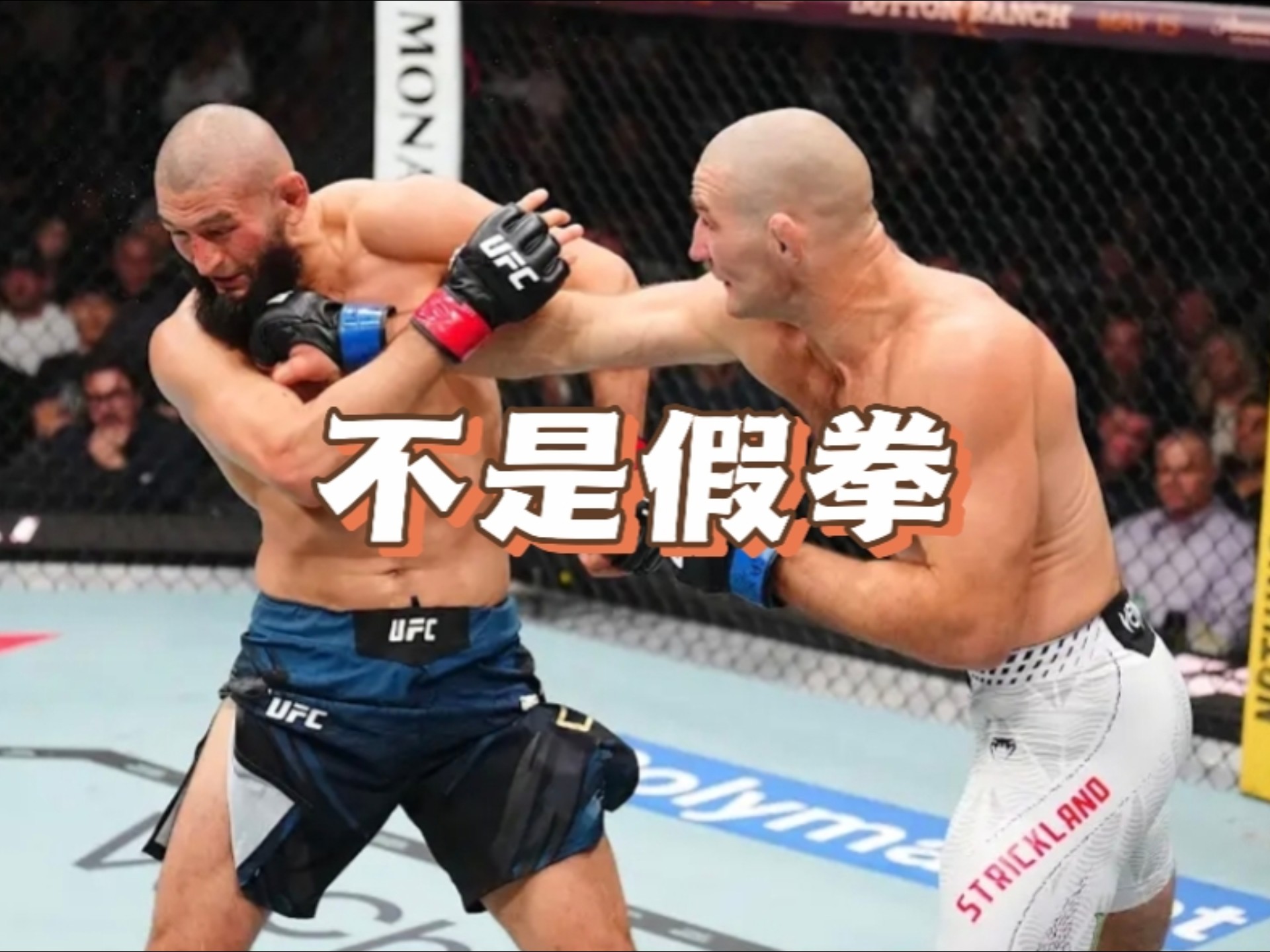 狼王奇马耶夫，没有打假拳