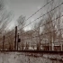 哈尔滨731部队遗址门口围墙随手拍的一小段