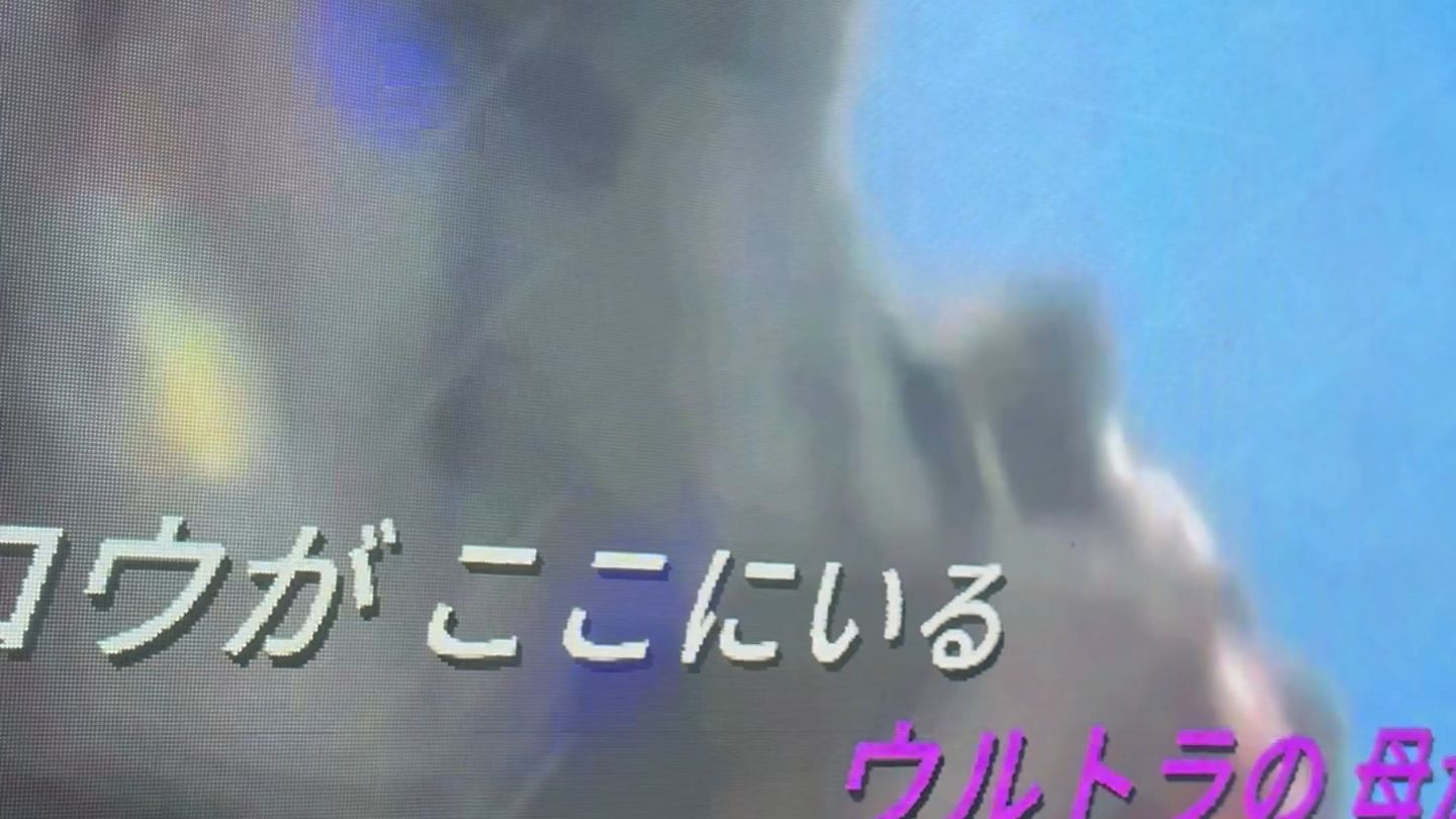 大家看看我弟弟唱的好吗？