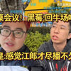 牛场圆桌会议！黑莓:回牛场吧！养皇:感觉你们播不久了