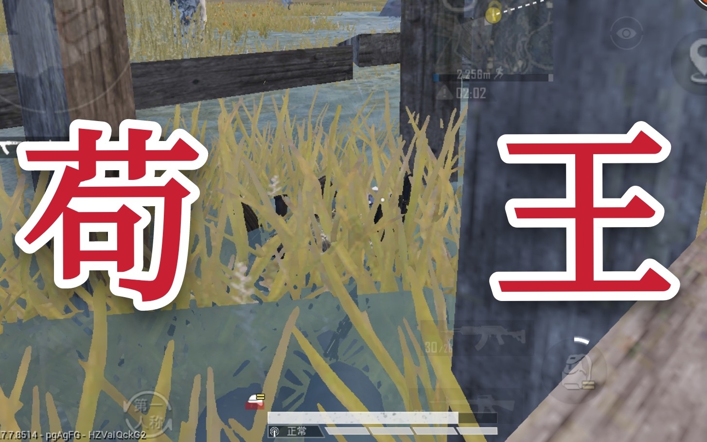 【全图苟点】苟王=老6,苟到极致就是阴,天秀阴人点