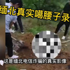 缅北真实噶腰子场面，胆小者慎点