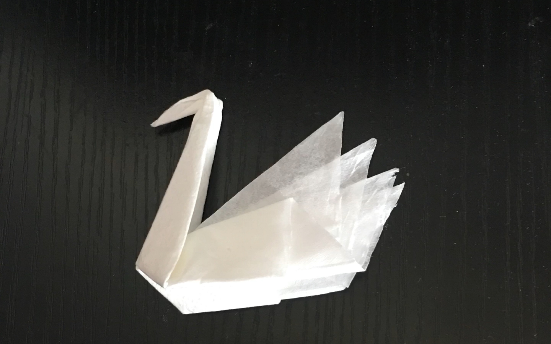 纸巾巧折小天鹅,真的挺美,速来围观吧!