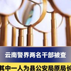 云南警界两名干部被查，其中一人为县公安局原局长，曾被称为破案“神探