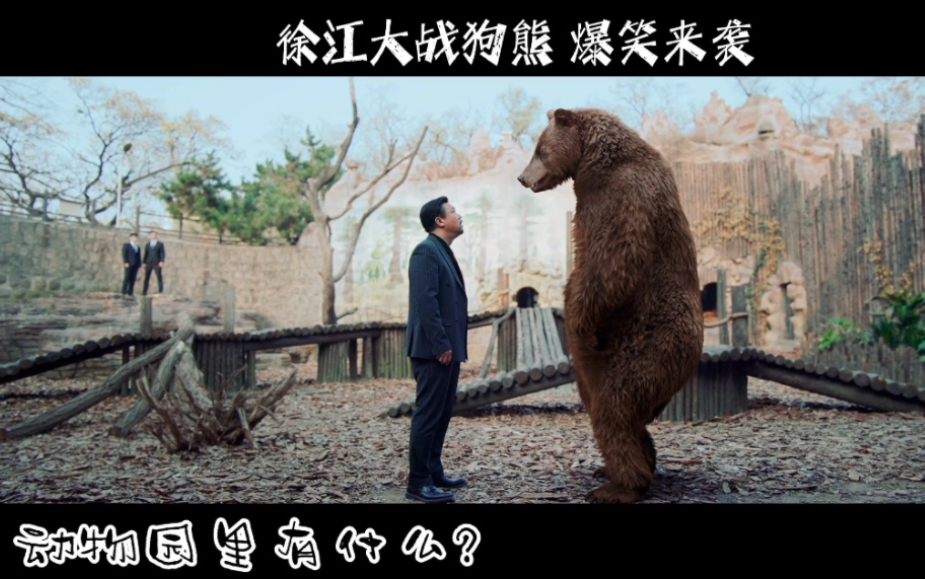 “徐 江 大 VS 战 狗 熊！”