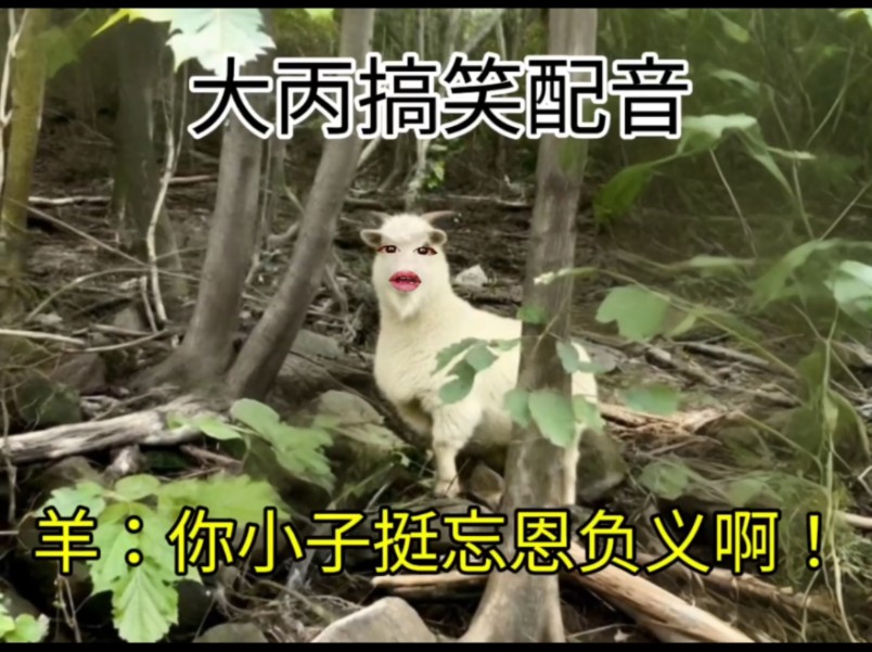 羊：你小子挺忘恩负义啊！