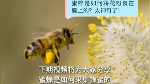 141ce892a8924e51067ef8d6f880c227264b6bd2.jpg@480w_270h_1c