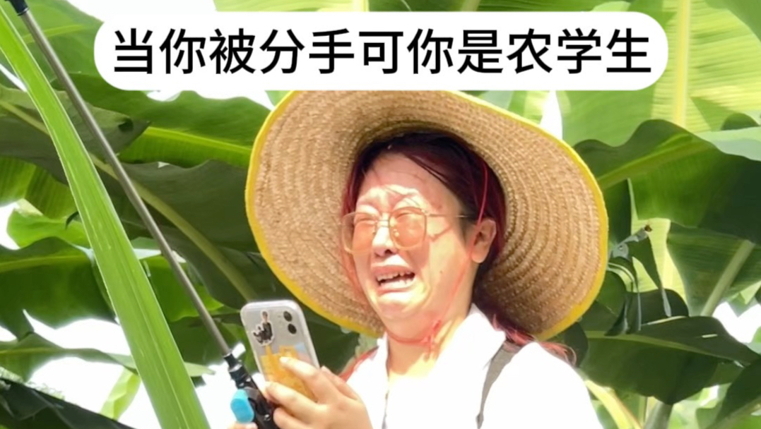 不是不回你消息 是田里网太差了