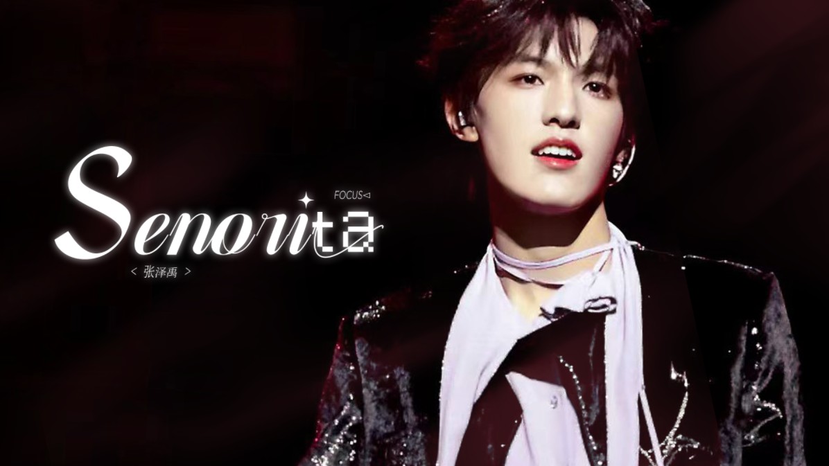 【张泽禹】好会钓 07年纯欲男高天花板翻跳Senorita 4k直拍