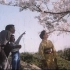 【国产老电影】樱（1979）