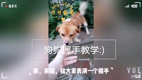 14449afc2ec5cd98f5fc03e59a26fa1e5106cd4b.jpg@280w_158h_1c_100q.jpg