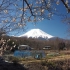 「4K画质」早春白雪覆盖的富士山