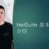NetSuite Fundamentals Basic Usability 基本可用性功能介绍
