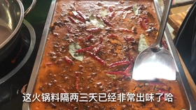 14487bb234f2b0acae263157da8106a7543583ed.jpg@280w_158h_1c_100q.jpg
