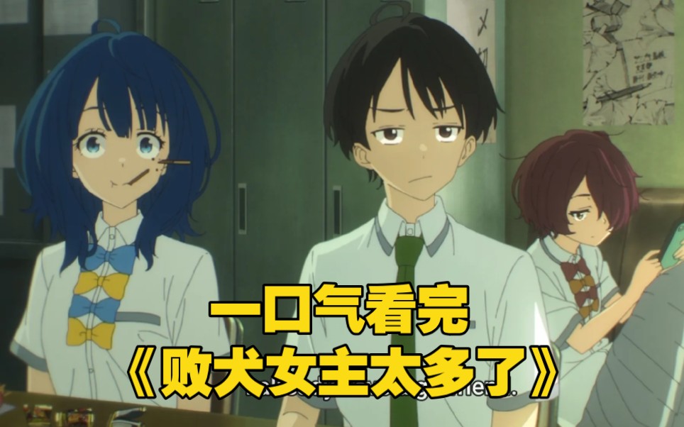 一口气看完《败犬女主太多了》钢铁直男遇到了一群败犬女主