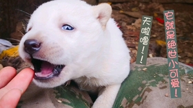 144fd8fd0bcca68e738d6bb749a81eff643aa57d.jpg@280w_158h_1c_100q.jpg