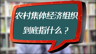 145b2ca8db730e83042f618a51dd08e5901aa183.png@310w_174h_1c_100q.jpg