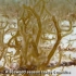 日本海藻种植-海底养殖-日本海藻收获