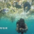触目惊心！潜水者实拍巴厘岛海洋垃圾成灾