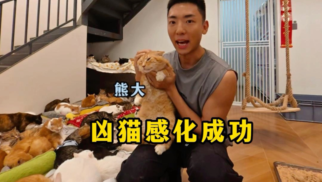 猫咪小院又多了4个猫宝宝~