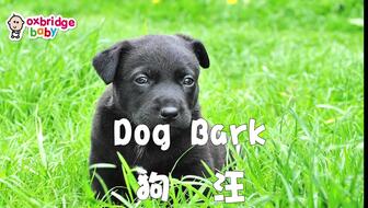 14c3fa6781e27c3f9f9ea864518db25a2a65a92a.jpg@336w_190h_1c.jpg