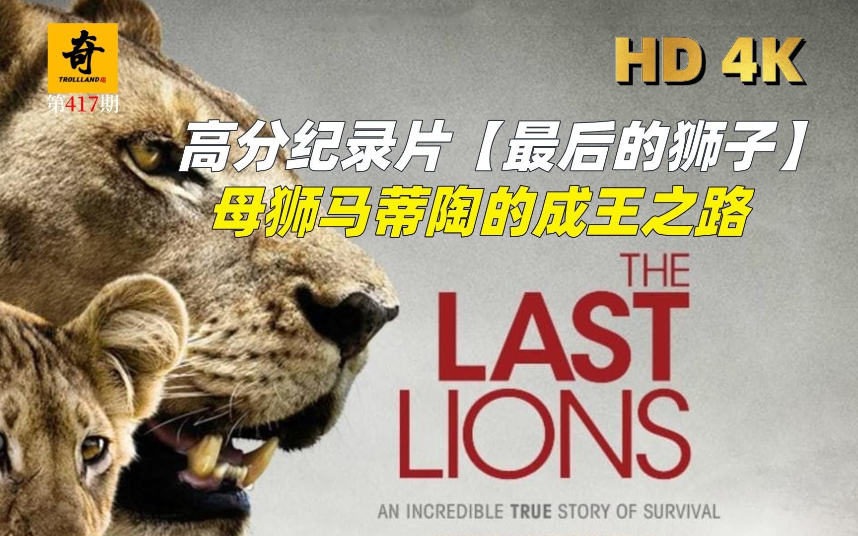 纪录片解说，高分纪录片【最后的狮子】，母狮马蒂陶的成王之路