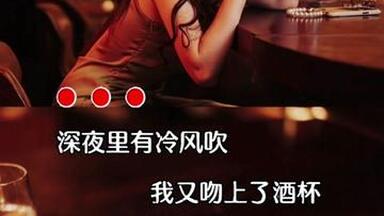 无人陪我夜已深，无人与我把酒分，无人拭我相思泪，无人梦我与前尘。