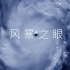 【风暴之眼/混剪】从太空视角 欣赏十二个超强台风的风眼