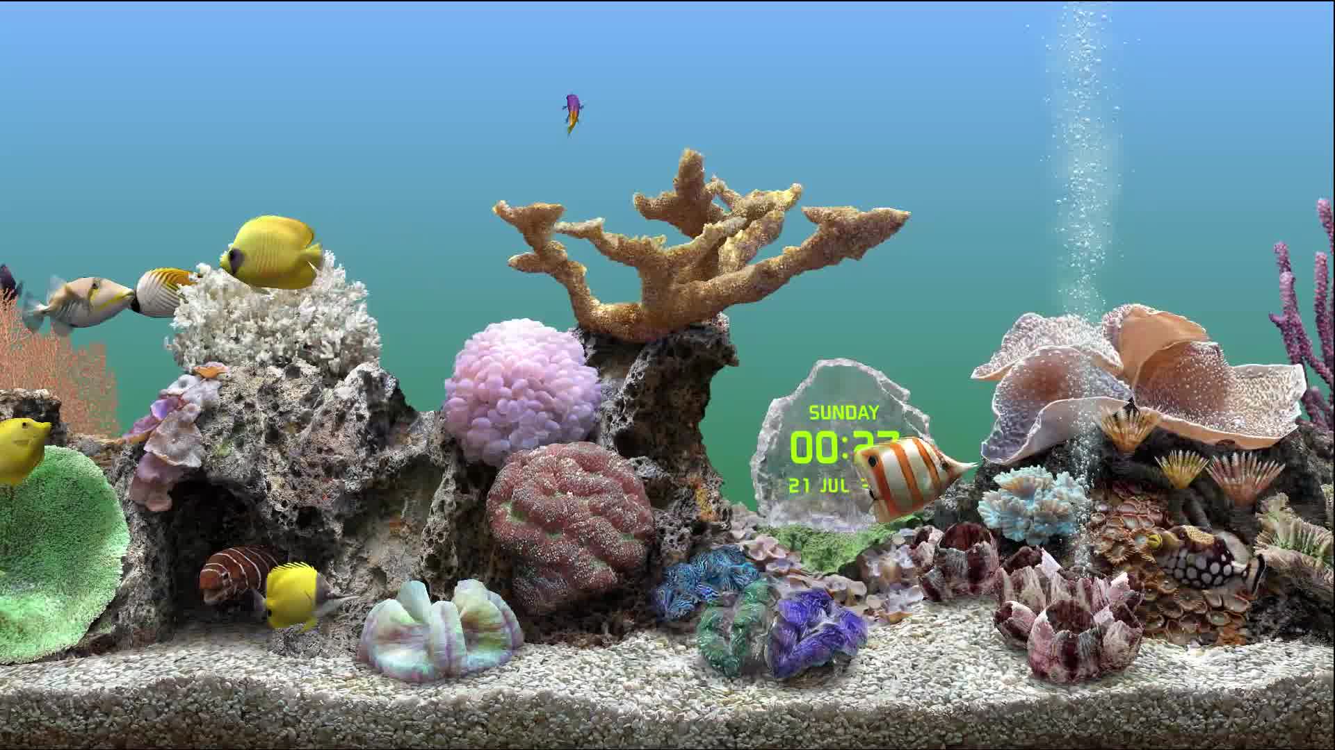 巨型水族馆-一起来养鱼啊- 游戏发现- 游戏机迷 | 游戏评测