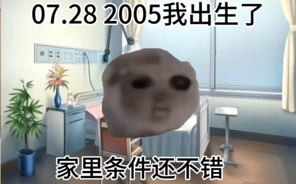 【猫meme】关于我一个典型的调皮小孩….