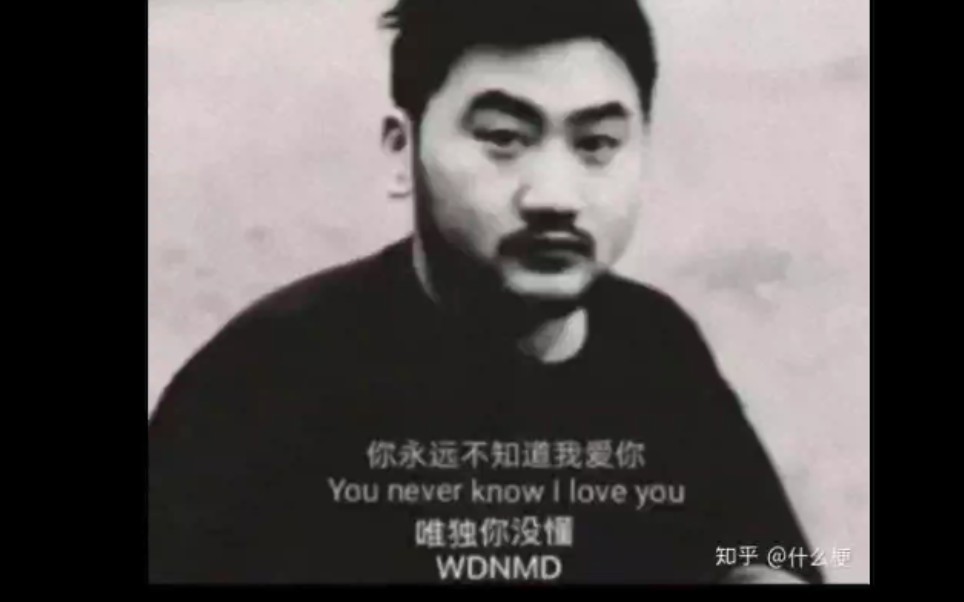 唯独你没懂の痛wdnmd