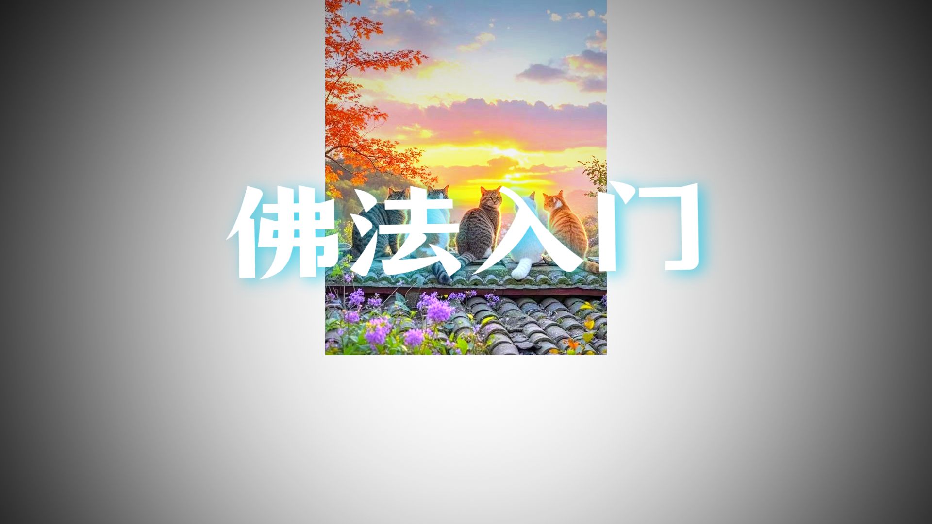 体佛法师开示：以盲导盲