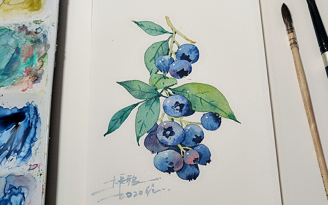 【水彩果子教程】蓝莓上色过程分享～